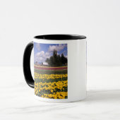 WA, Skagit Valley, Skagit Valley Tulip Mok (Voorkant links)