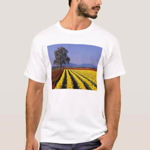 WA, Skagit Valley, Skagit Valley Tulp 2 T-shirt