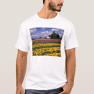 WA, Skagit Valley, Skagit Valley Tulp T-shirt