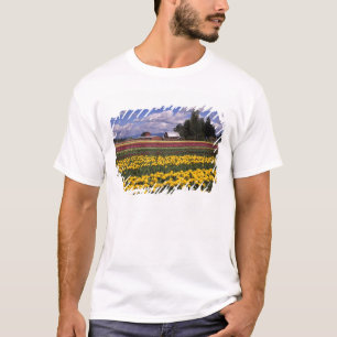 WA, Skagit Valley, Skagit Valley Tulp T-shirt