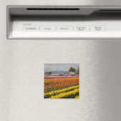 WA, Skagit Valley, Tulip fields in bloom Magneet (Insitu (Vaatwasser))
