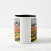 WA, Skagit Valley, Tulip fields in bloom Mok (Midden)