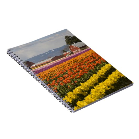 WA, Skagit Valley, Tulip fields in bloom Notitieboek (Rechterzijde)