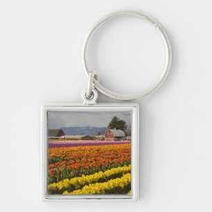 WA, Skagit Valley, Tulip fields in bloom Sleutelhanger