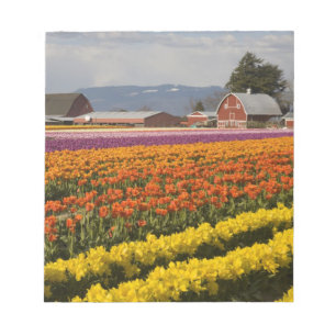 WA, Skagit Valley, Tulpenvelden in bloei, bij Notitieblok