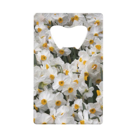 WA, vallée de Skagit, motif de jonquilles (Devant)