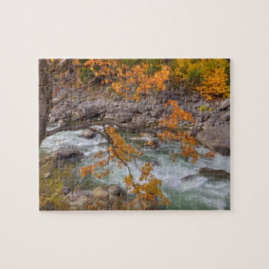 WA, Wenatchee National Forest, Maple Tree en Legpuzzel (Horizontaal)