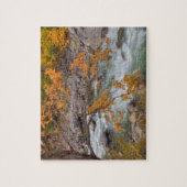 WA, Wenatchee National Forest, Maple Tree en Legpuzzel (Verticaal)