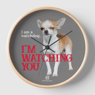 Waakhond Chihuahua - Aanpasbaar