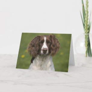 Waakzame aanzetsteen kaart