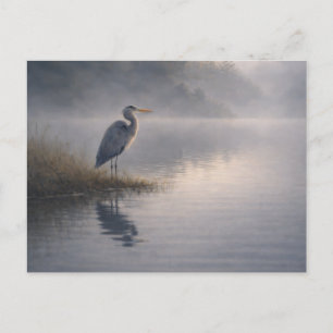 Waakzame Reiger   Grote Blauwe Reiger   Ansichtkaa Briefkaart