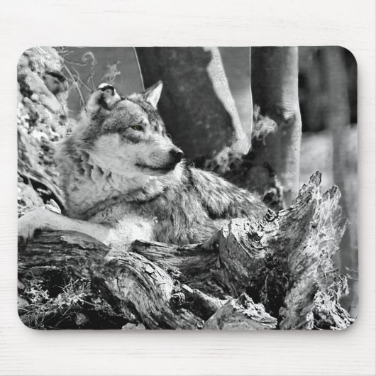 waakzame wolf muismat (Voorkant)