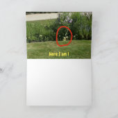 Waar ben ik? #5b Kaart (Binnen)