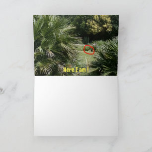 Waar ben ik? #5d Kaart