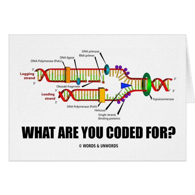 Waar ben je voor gecodeerd? (DNA-replicatie) (Voorkant Horizontaal)