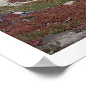 Waar Colors Poster samenkleven! (Hoek)