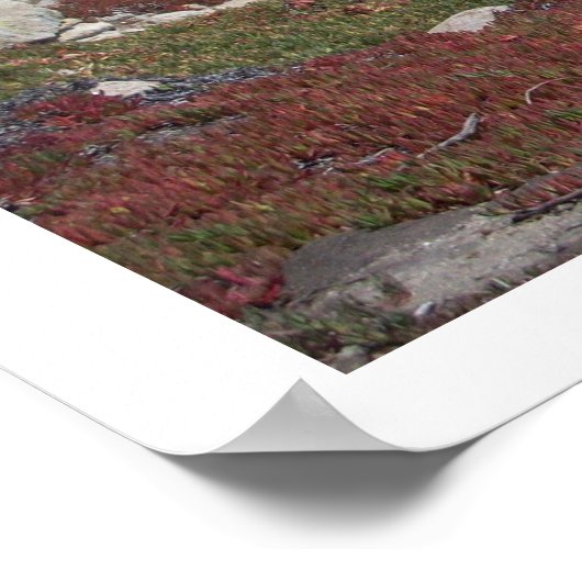 Waar Colors Poster samenkleven! (Hoek)