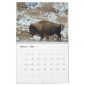 Waar de Buffalo Roam Kalender (Feb 2026)
