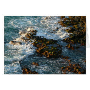 Waar de oceaan de Rocks ontmoet