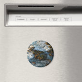 Waar de oceaan de Rocks ontmoet Magneet (Insitu (Vaatwasser))