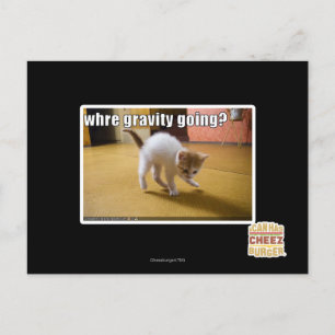 Waar gaat de zwaartekracht heen? briefkaart