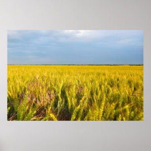 Waar het graan danst met de wind - Wilde natuur Poster