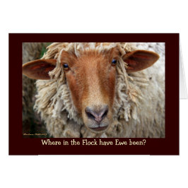 Waar in de kudde is Ewe geweest?