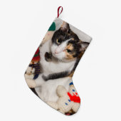 Waar is de kat kerststaart? kleine kerstsok (Voorkant (Hangend))