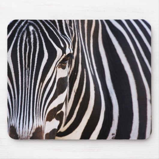 Waar is de Zebra? Muismat (Voorkant)