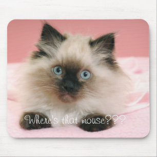 Waar is die muis, muispad? muismat