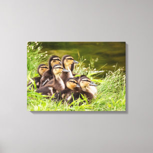 Waar is mama? canvas afdruk