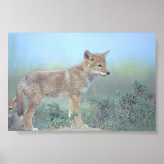 Waar is mama? poster