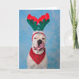 Waar is mijn eierdrank? feestdagen kaart