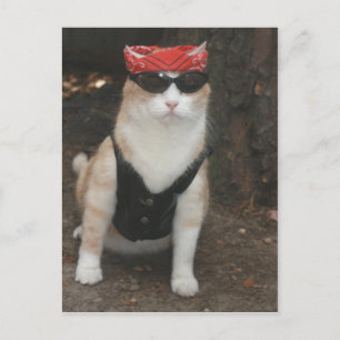 Waar is mijn hond? briefkaart