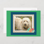 Waar is mijn Kibble, Goedemorgen Briefkaart (Voorkant / Achterkant)