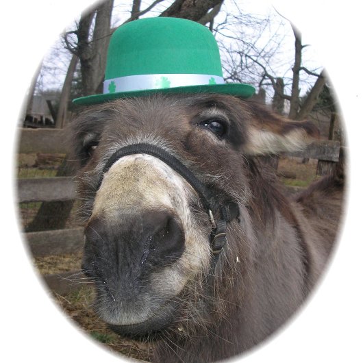 "Waar kijk je naar?" T-shirt