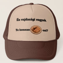 Waar kom je vandaan mici?