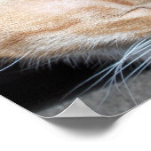 Waar Moo is... Poster (Hoek)