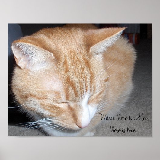 Waar Moo is... Poster (Voorkant)