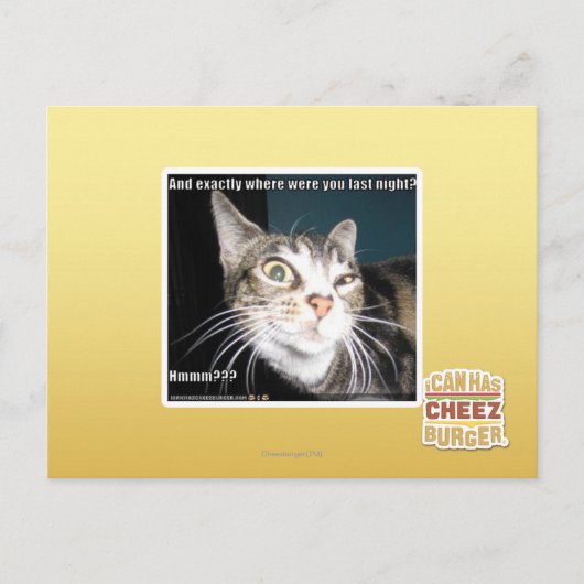 Waar waren jullie? briefkaart (Voorkant)