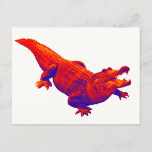 WAAR ZE ZIJN BRIEFKAART