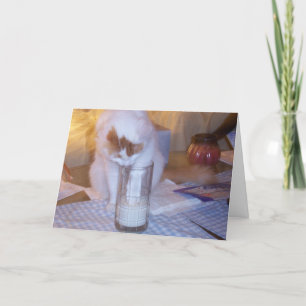 "WAAR" ZIJN DE EIEREN? FEESTDAGEN KAART