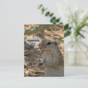 Waardeer Jou Grondsquirrel Foto Woestijn Dier Briefkaart