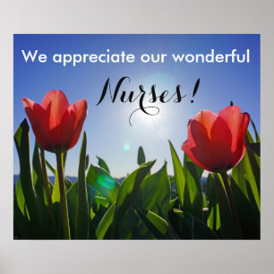 Waardeer onze wonderlijke Zuster posters prints RN