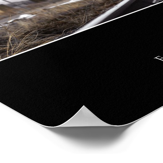 Waarheid: Inspirerend prijsopgave Poster (Hoek)