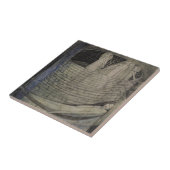 Waarheid ligt aan de onderkant van de put tegeltje (Zijkant)