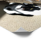 Waarheid over katten Meme poster (Hoek)