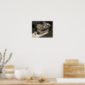 Waarheid over katten Meme poster (Keuken)