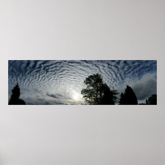 Waarnemende schapen poster