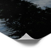 Waarnemende schapen poster (Hoek)